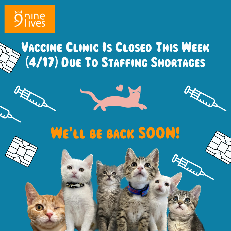 Vaccine Clinic Is Cancelled Due To Staffing Shortages 1