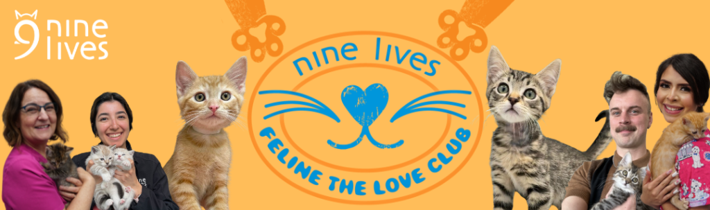 Feline The Love Club