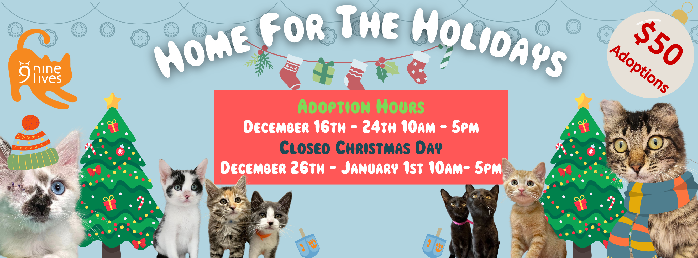 Christmas 2024 Adoption Special And Hours