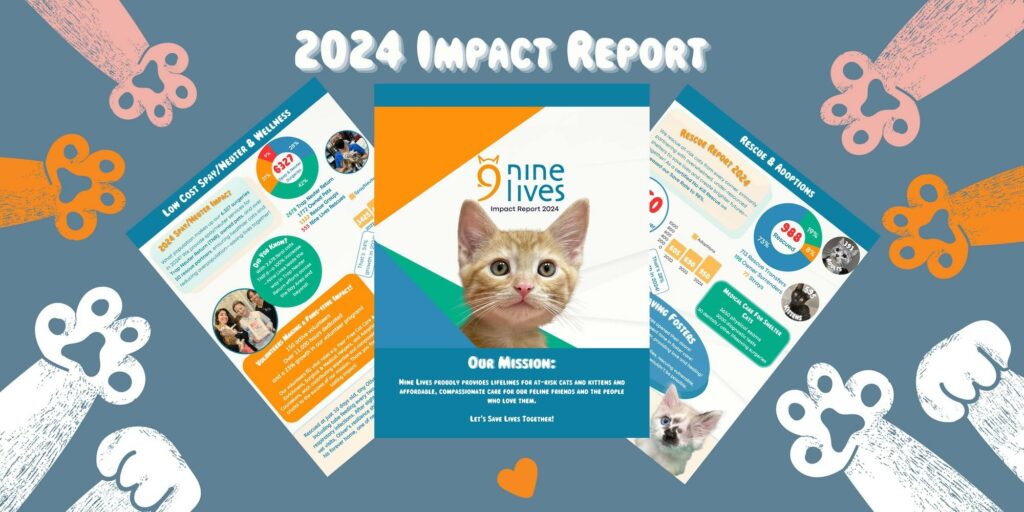 2023 Annual Report 1