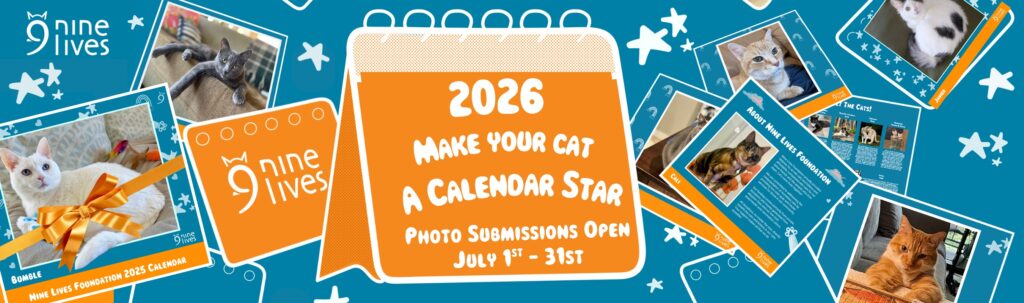 Calendar banner (1080 x 320 px)