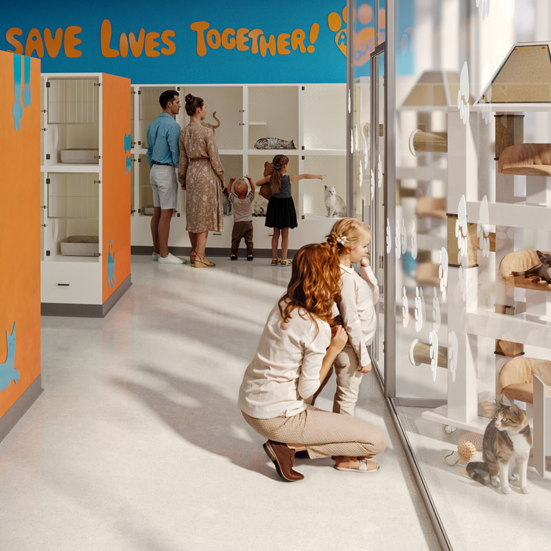 New Building Render Nine Lives Foundation