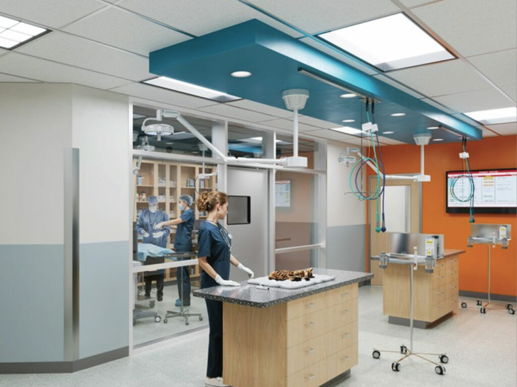 Building 4 surgery