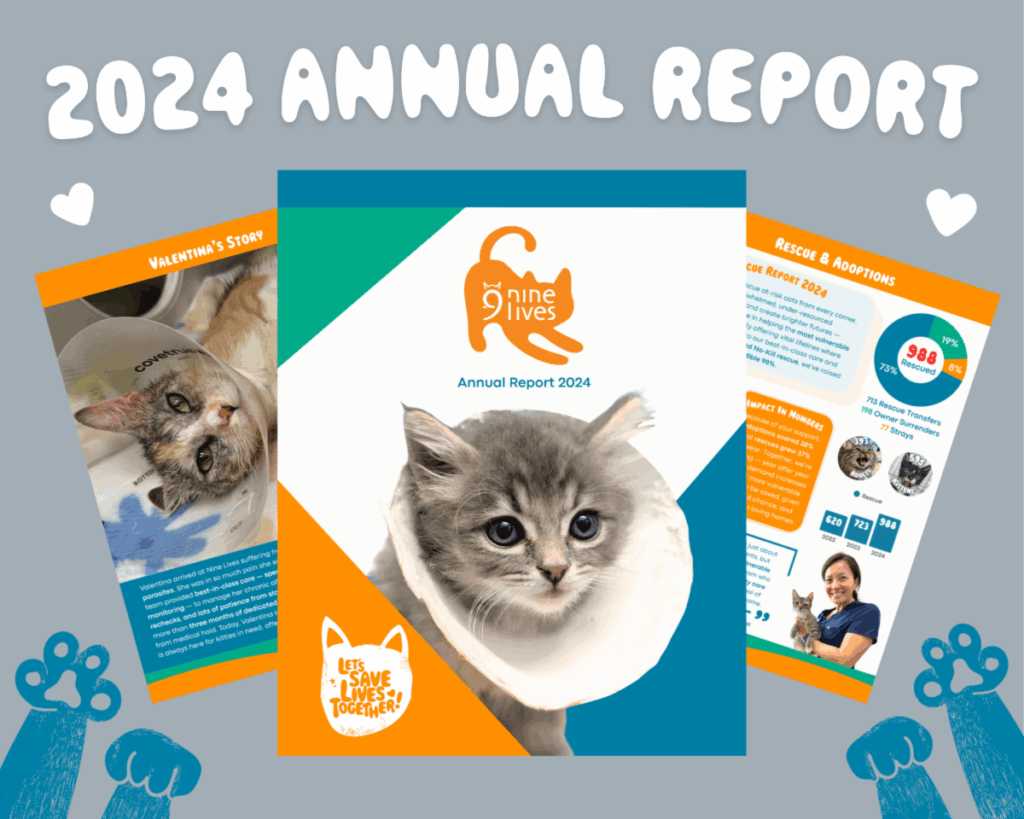 2024 annual report