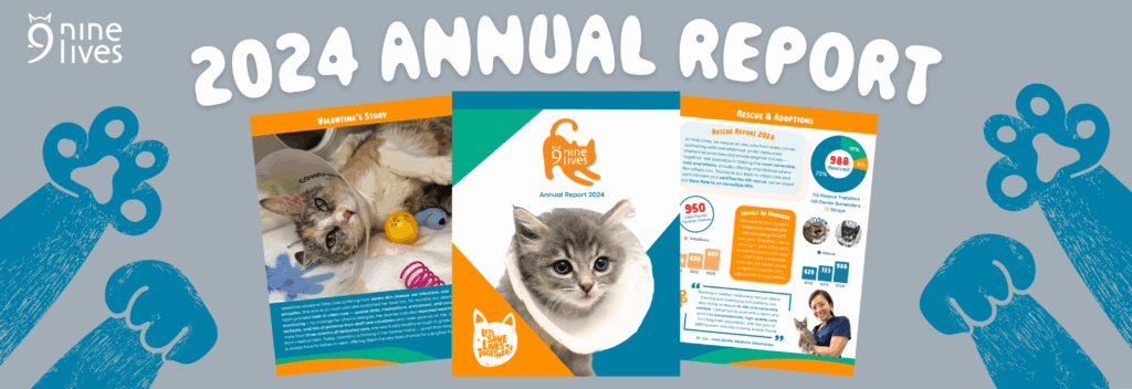 Annual Report 2025 horizontal