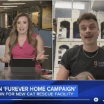 Screenshot 2025 11 02 at 6.34.08 pm