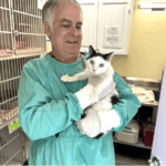 Screenshot 2025 11 11 at 9.17.05 am