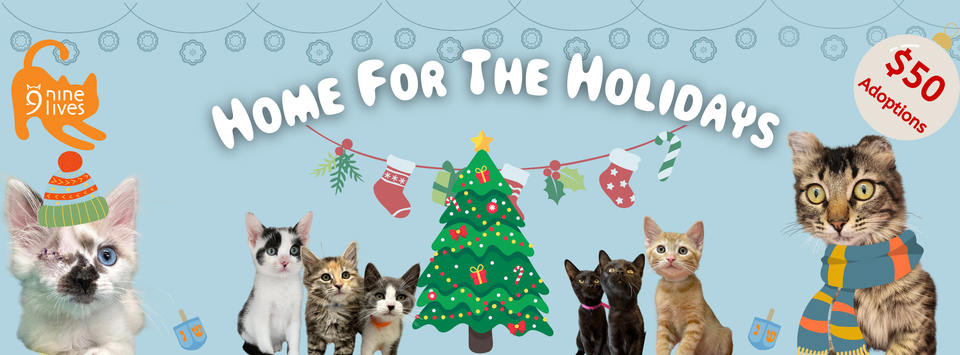 Dec 2024 Adoption banner