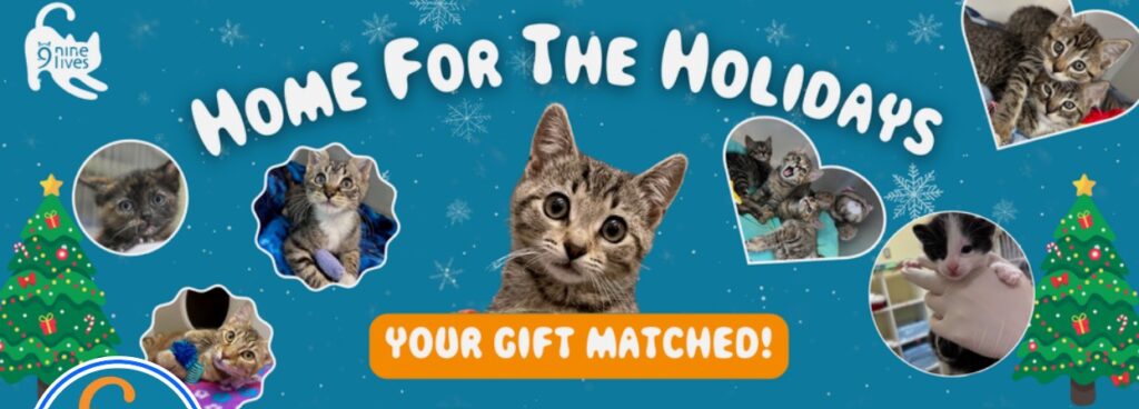 Dec 2025 Home for Holidays w match