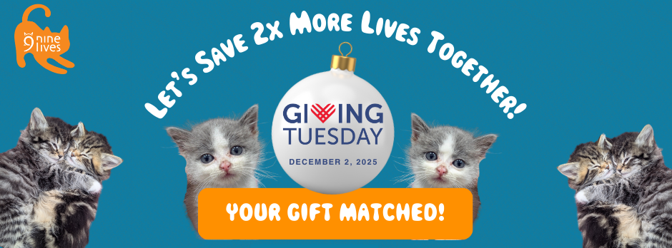 Giving Tuesday 2025 horizontal